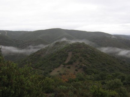 Niebla Morena